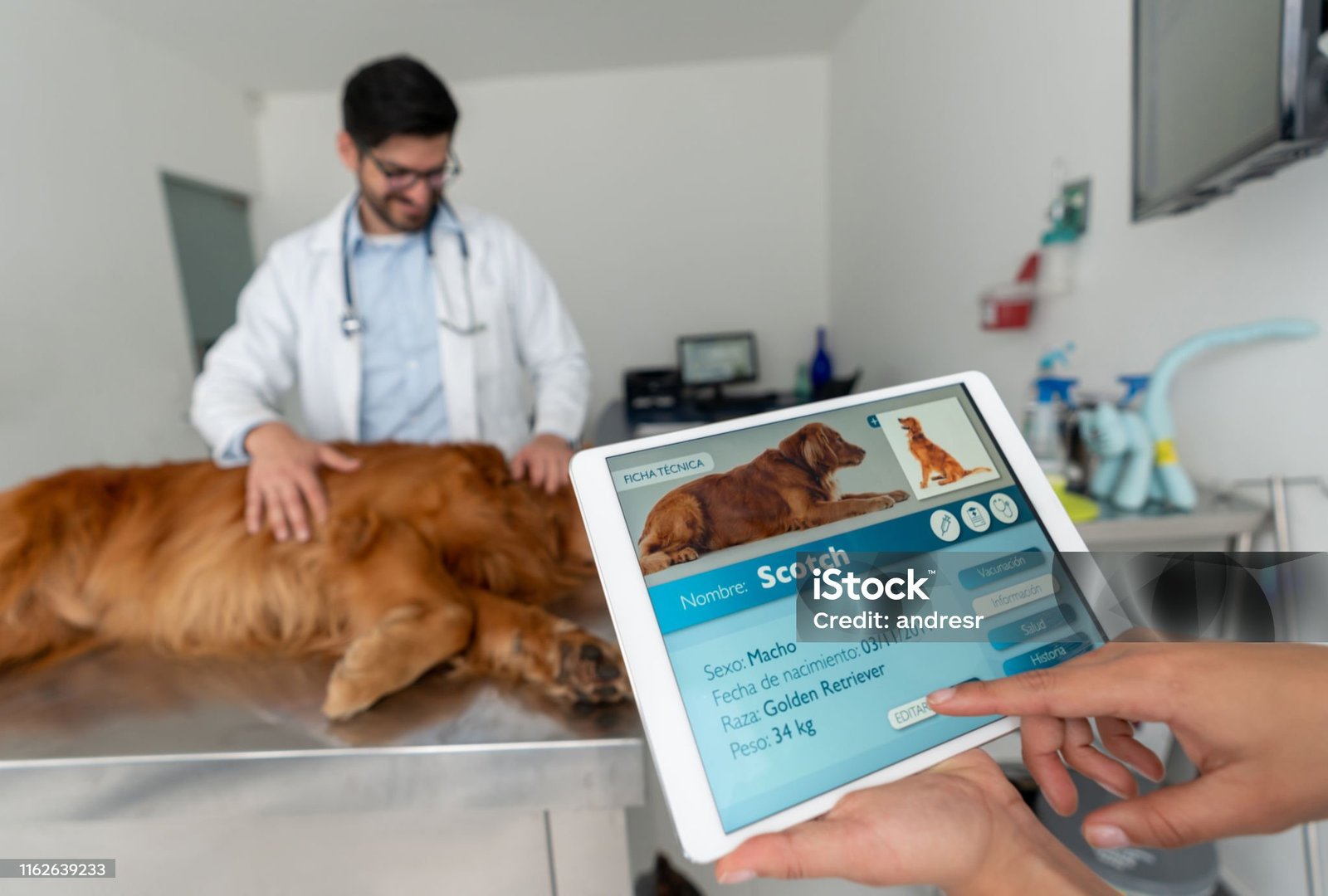Veterinary Practice Management System