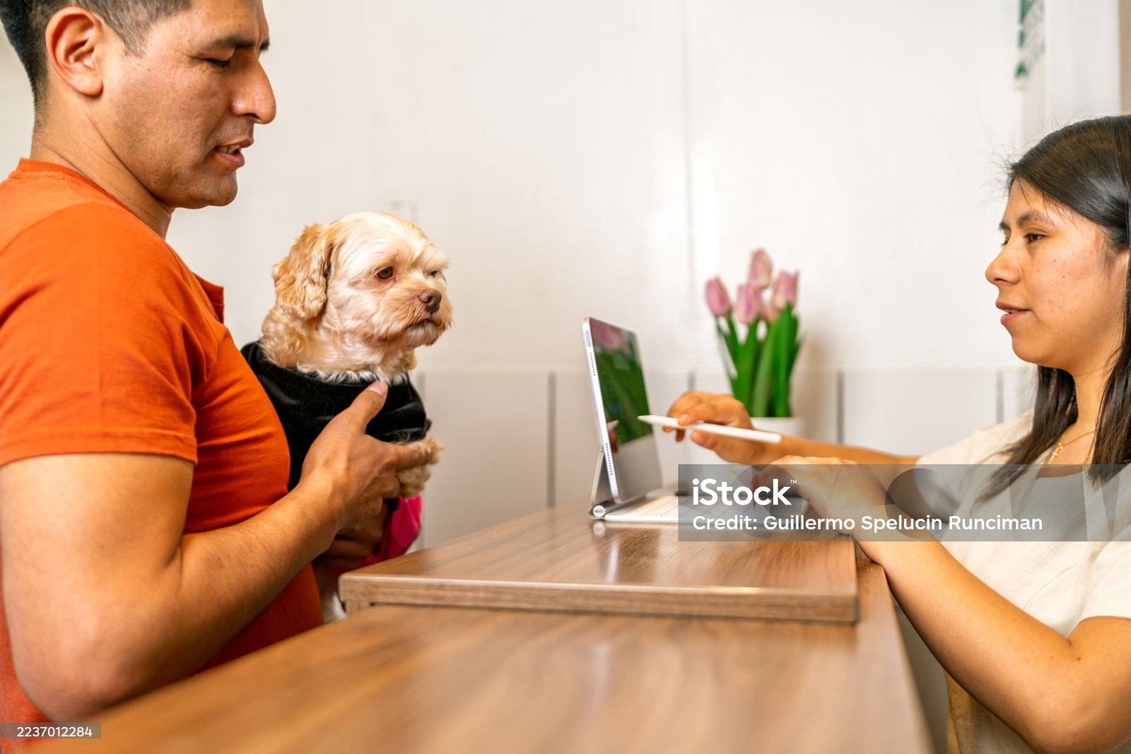 Custom Pet Care App Development
